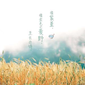 欧美日韩免费观看视频
